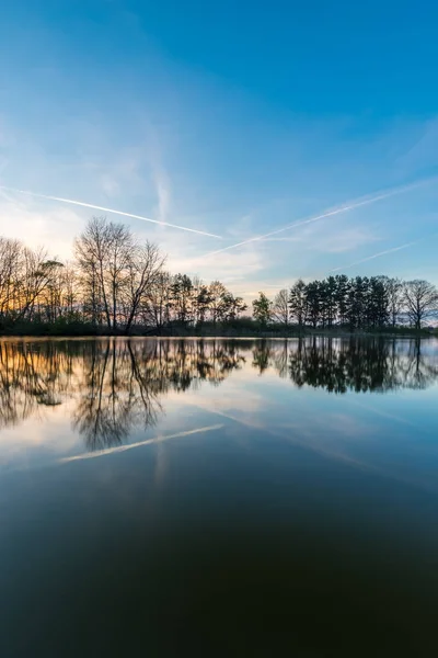 Several trees reflected in surface of pond in the evening — Stock Photo, Image