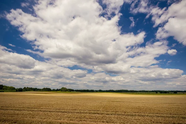 Zachmurzone niebo niebieski nad polem z zbieranego ziarna — Zdjęcie stockowe