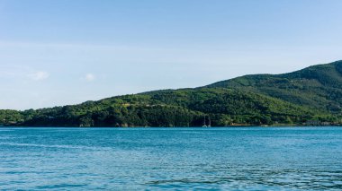 Ağaçlar ve yeşil bush ve su üzerinde kaç tekne ile deniz tarafından kapsanan uçurum