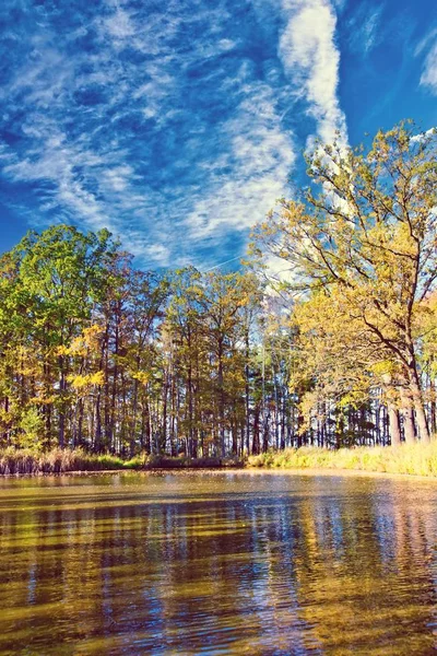 Small lake with several trees around in autumn time — Stock Photo, Image