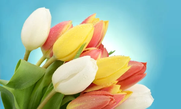 Beautiful colorful tulips in bouquet — ストック写真