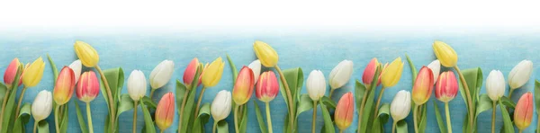 Beautiful Colorful Tulips Row Frame Closed Holiday Background — ストック写真