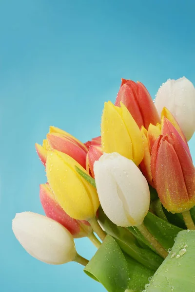 Beautiful colorful tulips in bouquet — ストック写真