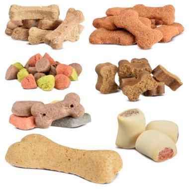 Beyaz üzerine izole edilmiş farklı bir köpek besleme kolleksiyonu