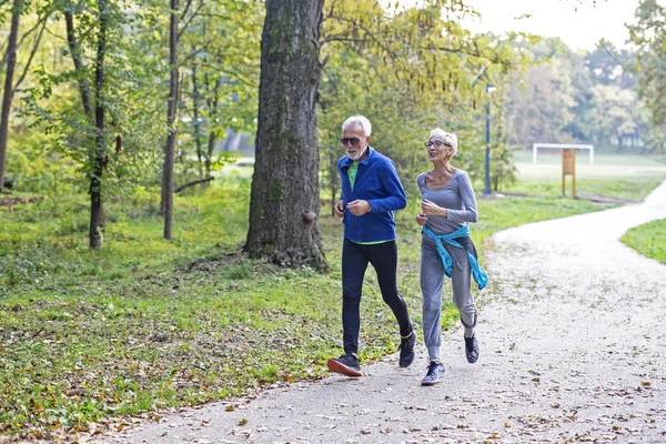 Aktif emeklilerin halk parkında boş vakitleri var