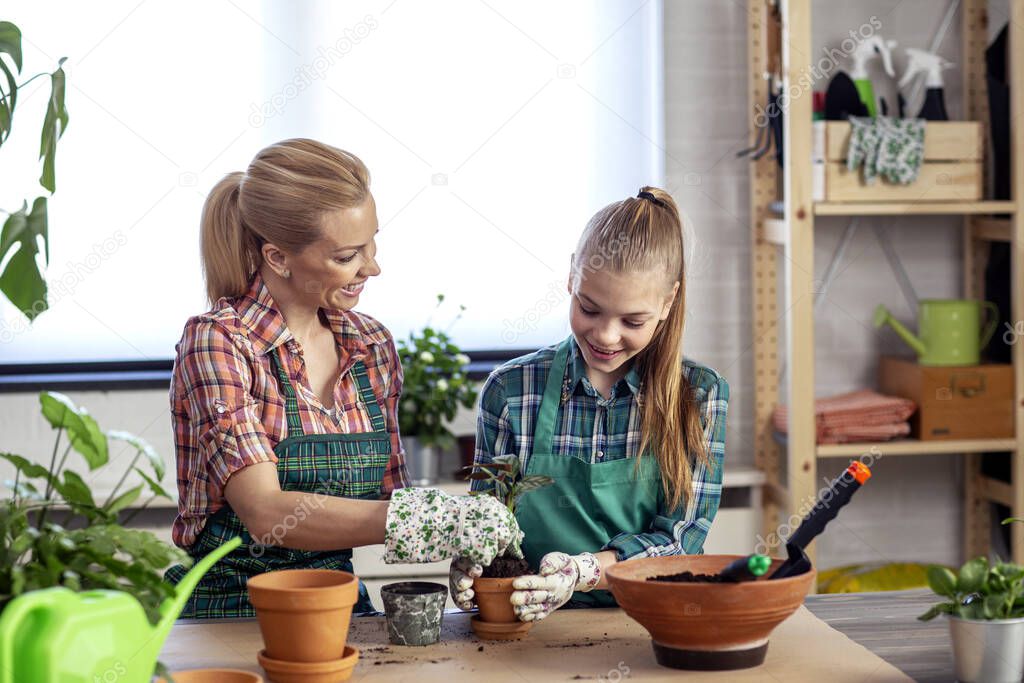 Mom and daughter plant flowers on desk at home together and feel happy