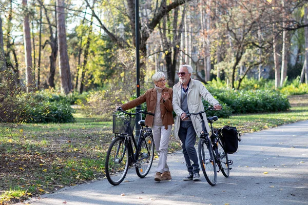 Alt reif pärchen mit fahrräder im park — Stockfoto
