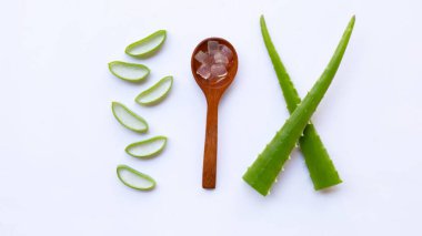 Aloe vera, Aloe cinsinin sulu bir bitki türüdür. Her daim yeşil olan yarımada, Arap Yarımadası 'ndan gelmektedir, ama tropikal, yarı tropikal ve kurak iklimlerde yetişir.
