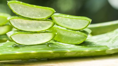 Aloe vera, Aloe cinsinin sulu bir bitki türüdür. Her daim yeşil olan yarımada, Arap Yarımadası 'ndan gelmektedir, ama tropikal, yarı tropikal ve kurak iklimlerde yetişir.