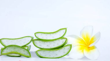Aloe vera, Aloe cinsinin sulu bir bitki türüdür. Her daim yeşil olan yarımada, Arap Yarımadası 'ndan gelmektedir, ama tropikal, yarı tropikal ve kurak iklimlerde yetişir.