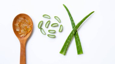 Aloe vera, Aloe cinsinin sulu bir bitki türüdür. Her daim yeşil olan yarımada, Arap Yarımadası 'ndan gelmektedir, ama tropikal, yarı tropikal ve kurak iklimlerde yetişir.