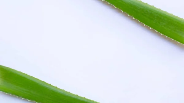 Aloe Vera Вид Сукулентних Рослин Роду Aloe Вічнозелене Довголіття Походить — стокове фото