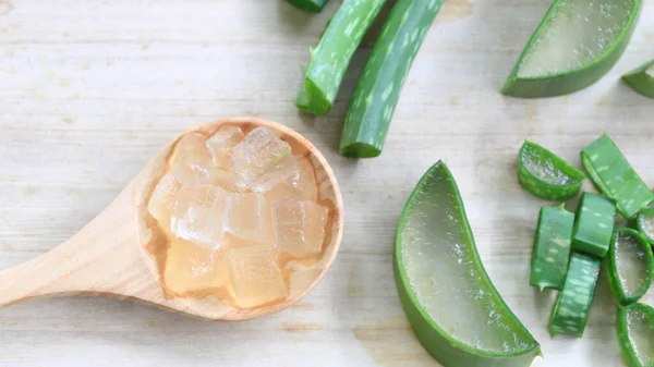 Aloe Vera Adalah Spesies Tumbuhan Yang Lezat Dari Genus Aloe — Stok Foto