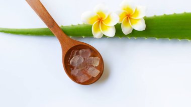 Aloe vera, Aloe cinsinin sulu bir bitki türüdür. Her daim yeşil olan yarımada, Arap Yarımadası 'ndan gelmektedir, ama tropikal, yarı tropikal ve kurak iklimlerde yetişir.