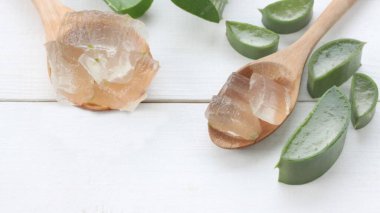 Aloe vera, Aloe cinsinin sulu bir bitki türüdür. Her daim yeşil olan yarımada, Arap Yarımadası 'ndan gelmektedir, ama tropikal, yarı tropikal ve kurak iklimlerde yetişir.