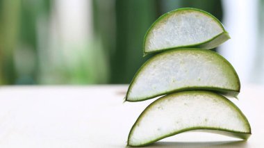 Aloe vera, Aloe cinsinin sulu bir bitki türüdür. Her daim yeşil olan yarımada, Arap Yarımadası 'ndan gelmektedir, ama tropikal, yarı tropikal ve kurak iklimlerde yetişir.