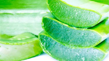 Aloe vera, Aloe cinsinin sulu bir bitki türüdür. Her daim yeşil olan yarımada, Arap Yarımadası 'ndan gelmektedir, ama tropikal, yarı tropikal ve kurak iklimlerde yetişir.