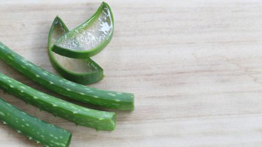 Aloe vera, Aloe cinsinin sulu bir bitki türüdür. Her daim yeşil olan yarımada, Arap Yarımadası 'ndan gelmektedir, ama tropikal, yarı tropikal ve kurak iklimlerde yetişir.
