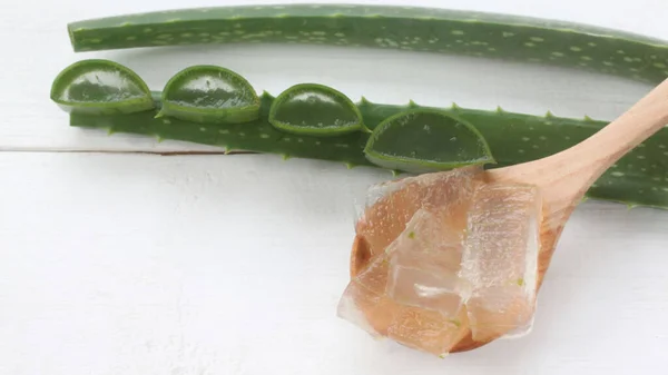 Aloe Vera Adalah Spesies Tumbuhan Yang Lezat Dari Genus Aloe — Stok Foto