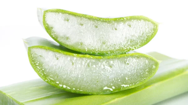 Aloe Vera Una Especie Planta Suculenta Del Género Aloe Perenne — Foto de Stock