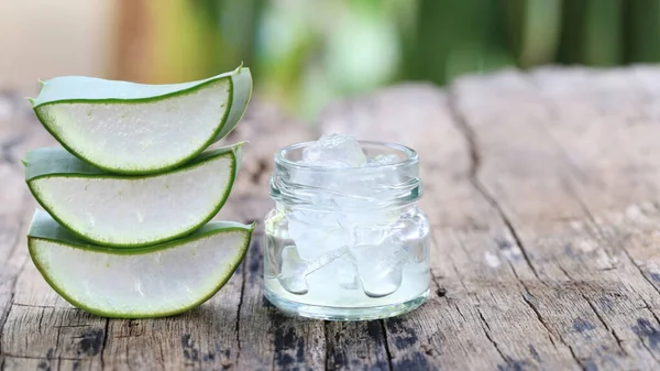 Aloe Vera Adalah Spesies Tumbuhan Yang Lezat Dari Genus Aloe — Stok Foto