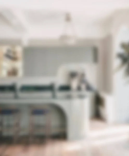 带有岛屿 花岗岩台面 不锈钢冰箱 烤箱和硬木地板的现代白色厨房的内部水泡 — 图库照片