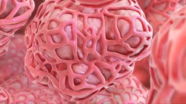 Wewnętrzna Struktura Pęcherzyka Płucnego Animacja Medyczna Jego Anatomii — Wideo stockowe