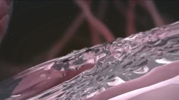 Medical Animated Angiogenese Neue Gefäßbildung — Stockvideo