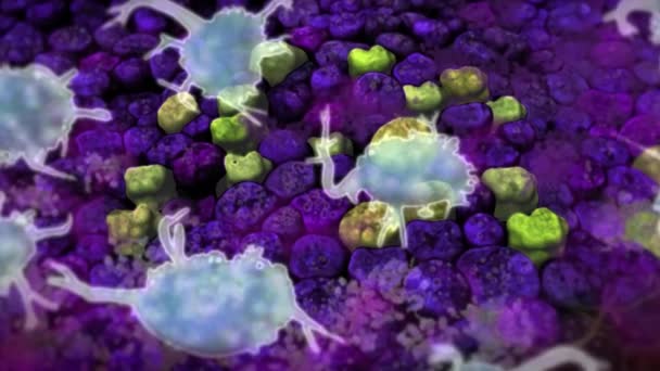 Celler Som Presenterar Ett Antigen Celler Som Visar Antigen Komplex — Stockvideo
