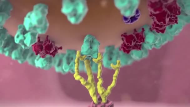 Break Cell Receptor — Stock Video