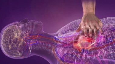 Kalbe baskı uygulamak ve kan dolaşımını yeniden başlatmak. Kalbin durması sonucu kan dolaşımını sağlamak için.