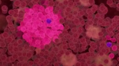 Koloni uyarıcı faktörler, hemofili kök hücrelerinin yüzeyindeki reseptör proteinlerine bağlanan glycoproteinler.