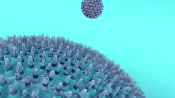 Animación Médica Microbiología Célula Emisora Citocinas — Vídeo de stock