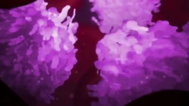 Koloni Uyarıcı Faktörler Hemofili Kök Hücrelerinin Yüzeyindeki Reseptör Proteinlerine Bağlanan — Stok video