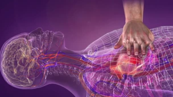 Ιατρικό Animation Της Βασικής Υποστήριξης Ζωής Τεχνητό Αναπνευστικό Καρδιακό Μασάζ — Αρχείο Βίντεο