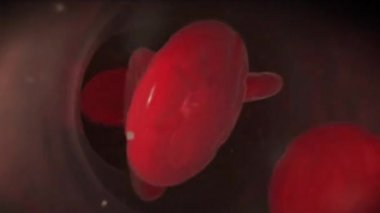 Kanın dolaşım sisteminin 3 boyutlu tıbbi animasyonu