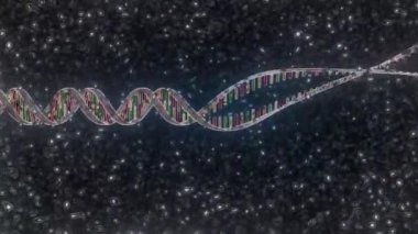 DNA molekülünün çift sarmal yapısı.