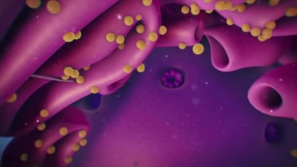 Medical Animation Cytoplasm Cell Nucleus — Stock Video