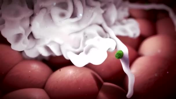 Fagocyty Jsou Buňky Které Chrání Tělo Požitím Škodlivých Cizích Částic — Stock video