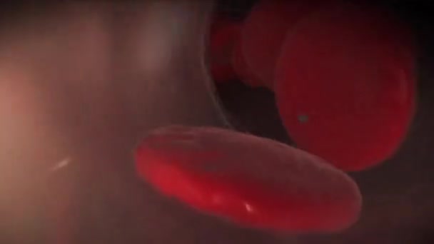 Медицинская Анимация Системы Кровообращения Крови — стоковое видео