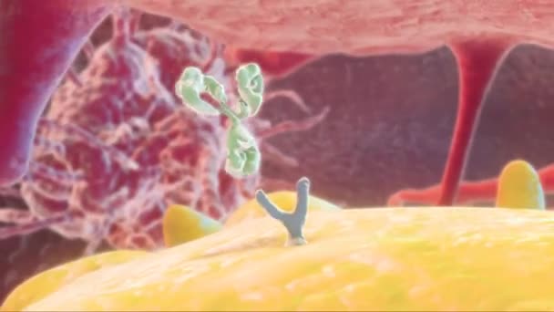 Medical Animation Receptors Embedded Plasma Membrane Cells — Stock Video