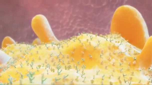 Medical Animation Receptors Embedded Plasma Membrane Cells — Stock Video
