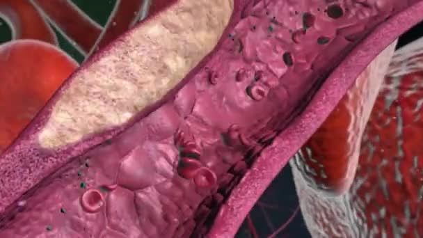 液体から固体への血液が硬化するときに形成されるクラスター — ストック動画