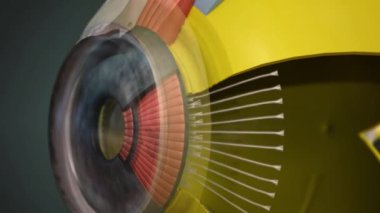 İnsan gözü ışığa tepki veren ve görüşe izin veren bir organdır..