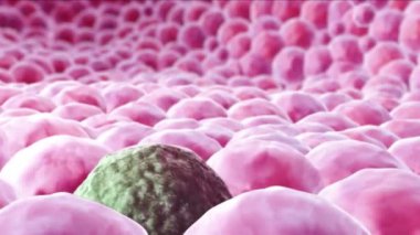 Ebola virüsü hastalığının 3 boyutlu tıbbi animasyonu, insandan insana bulaşabilir ve yüksek bir ölümcüllüğe sahiptir.