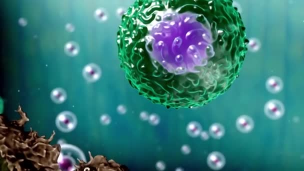 癌細胞とT細胞の相互作用 — ストック動画