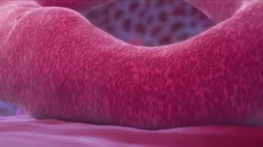 Ebola virüsü hastalığının 3 boyutlu tıbbi animasyonu, insandan insana bulaşabilir ve yüksek bir ölümcüllüğe sahiptir.