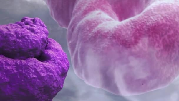 Animation médicale 3D de la maladie à virus Ebola, qui peut être transmise de personne à personne et a une létalité élevée 