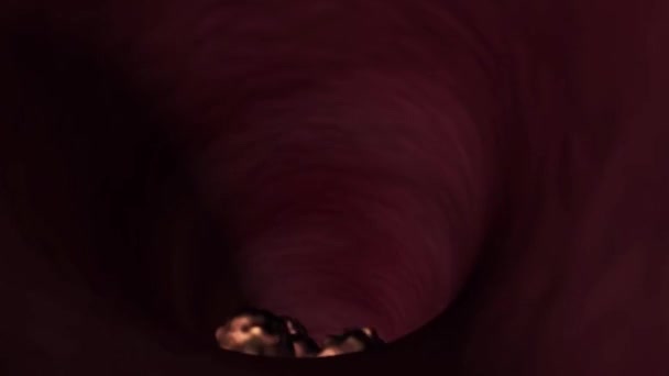 Le passage de la nourriture de la bouche à l'estomac 