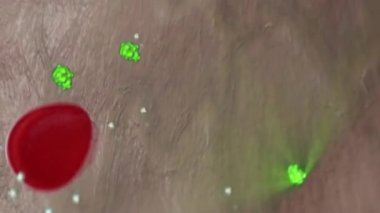 Kan Şekeri ve Diyabetin İnsülin Düzenlemesi